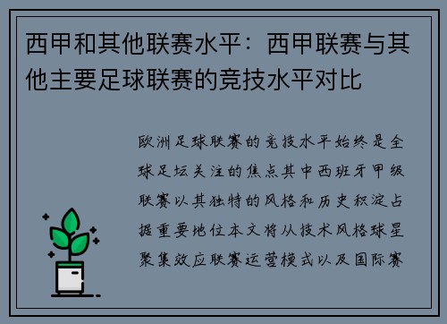 西甲和其他联赛水平：西甲联赛与其他主要足球联赛的竞技水平对比