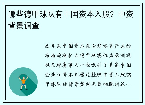 哪些德甲球队有中国资本入股？中资背景调查